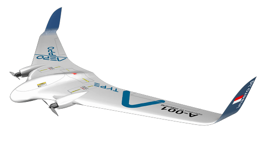 Drone fixed-wing AeroPro A Type
